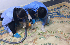 沈阳保洁公司客厅地毯怎么清洗，5种步骤让你摆脱一切烦恼！